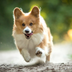 ScreenShot_2026-03-02_192748_940