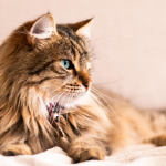 ScreenShot_2026-03-02_192820_460