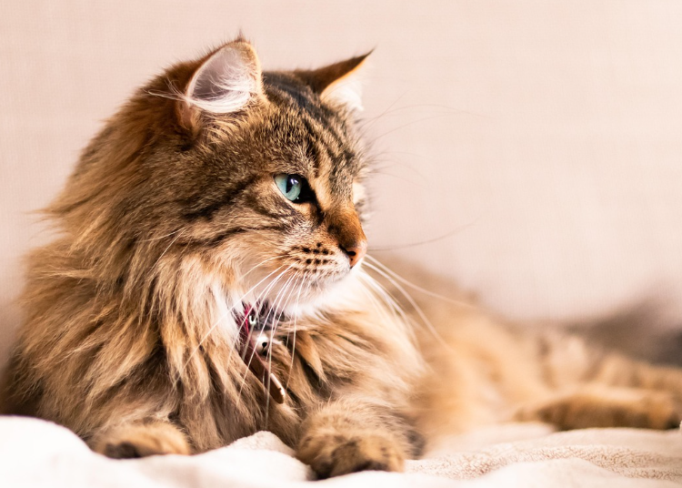 ScreenShot_2026-03-02_192820_460