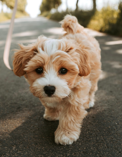 ScreenShot_2026-03-02_192840_980