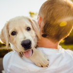 ScreenShot_2026-03-02_192953_727