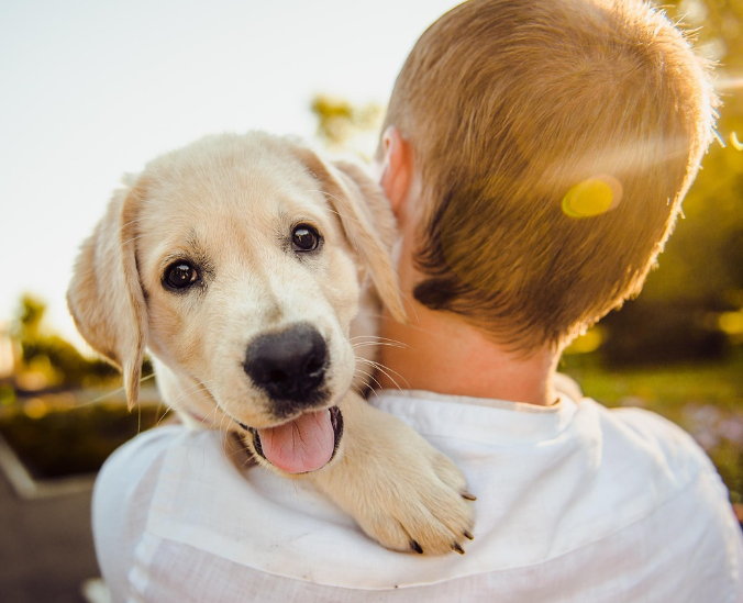 ScreenShot_2026-03-02_192953_727