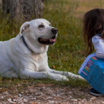 ScreenShot_2026-03-02_193045_656