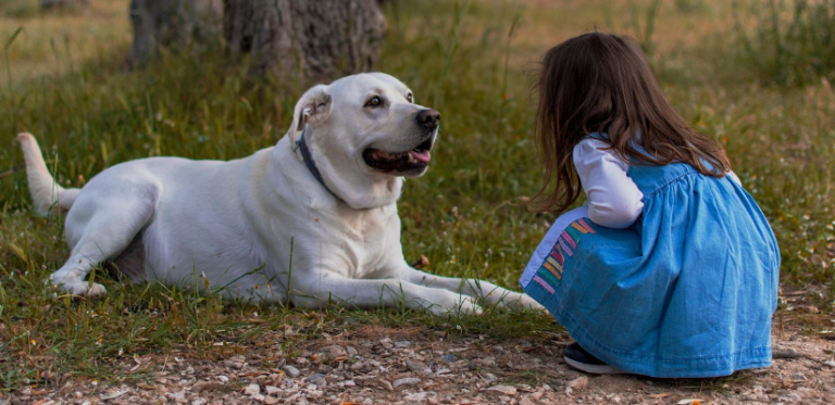 ScreenShot_2026-03-02_193045_656